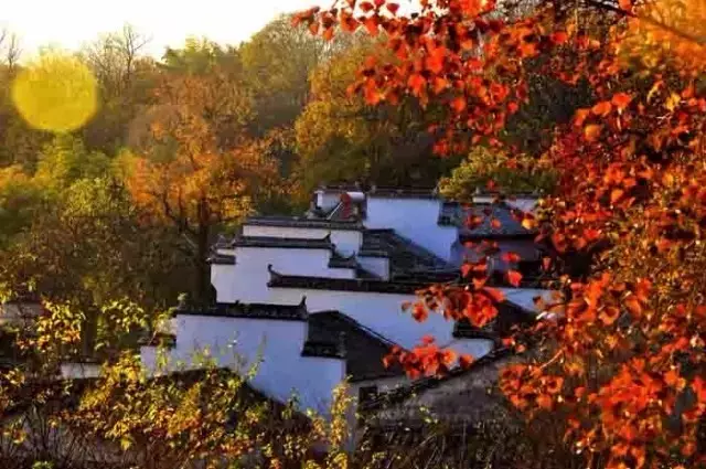 国内旅游景点推荐：塔川的秋天美过九寨沟